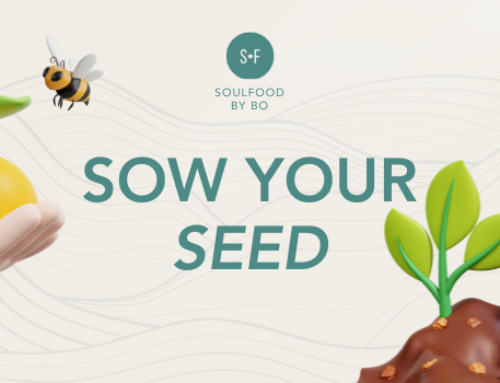 SOW YOUR SEED